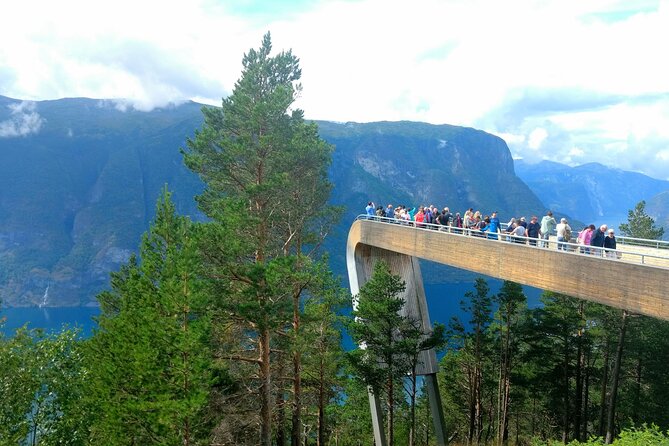 Full Day Private Tour to Flam with Pick Up - Myrdal to Voss by train