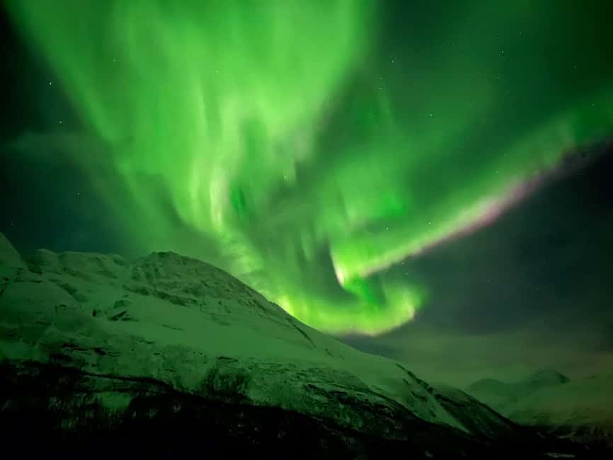 Full Night Magic of the Arctic Lights in Tromso - Key points to know before booking