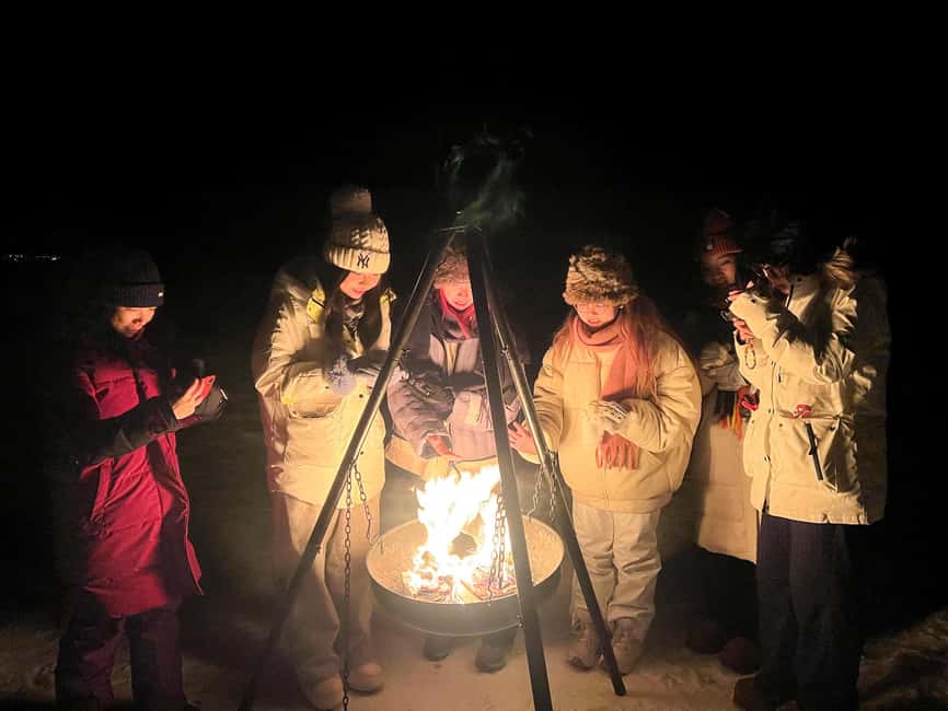 Full Night Magic of the Arctic Lights in Tromso - Who will enjoy this experience most