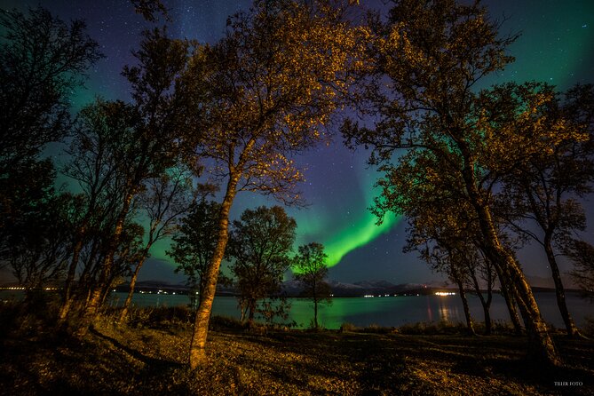 Full Night Magic of the Northern Lights in Tromso - What makes this Tromso aurora tour worth considering