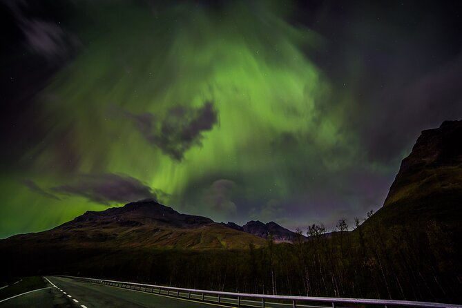 Full Night Magic of the Northern Lights in Tromso - Why a minibus matters after dark