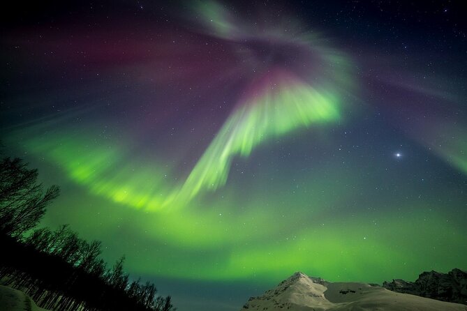 Full Night Magic of the Northern Lights in Tromso - Photos, landmarks, and the practical value of the price