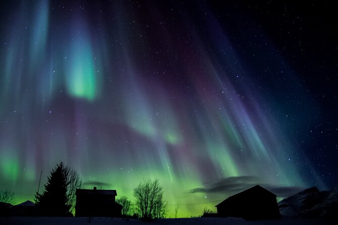 Full Night Magic of the Northern Lights in Tromso - How to prepare for a four to six-hour Arctic search