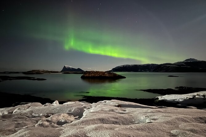 Full Night Magic of the Northern Lights in Tromso - Who will enjoy this tour most