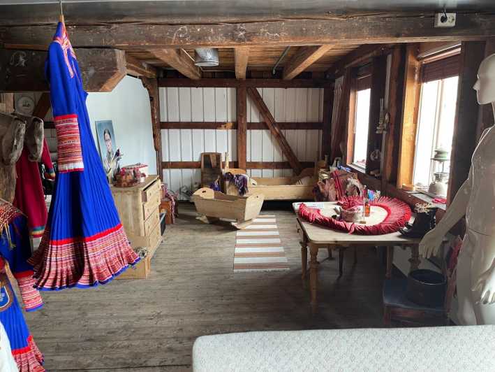 Full steam museum - Guided Sami Culture escursion - What this Full Steam experience is really about