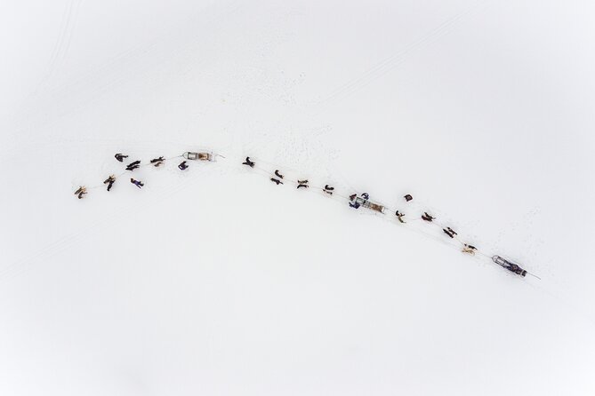 Fun & Easy Dog Sledding Adventure from Tromsø - Early Bird Tour - Coffee, cake, and a warmer finish