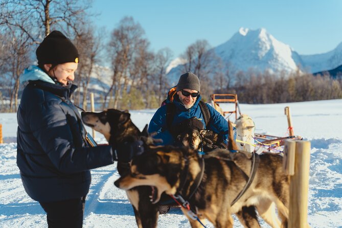 Fun & Easy Dog Sledding Adventure from Tromsø - Noon Tour - Who will enjoy this Tromsø dog sledding tour?