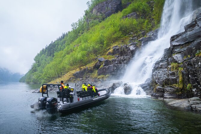 Fyksesund majestic RIB Adventure from Øystese - Key points to know before you go