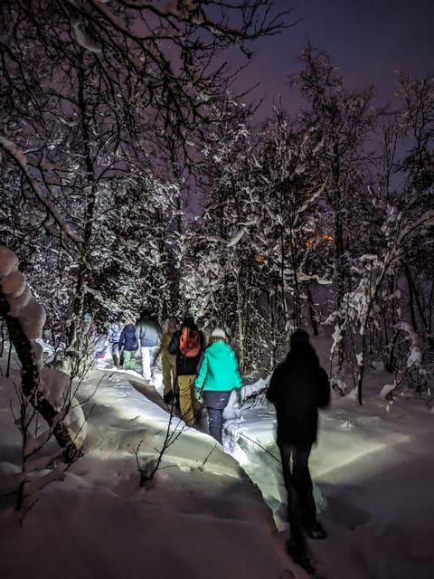 Geilo: Evening family tour with sledge, campfire and fun! - Meeting at Slaatta Skisenter