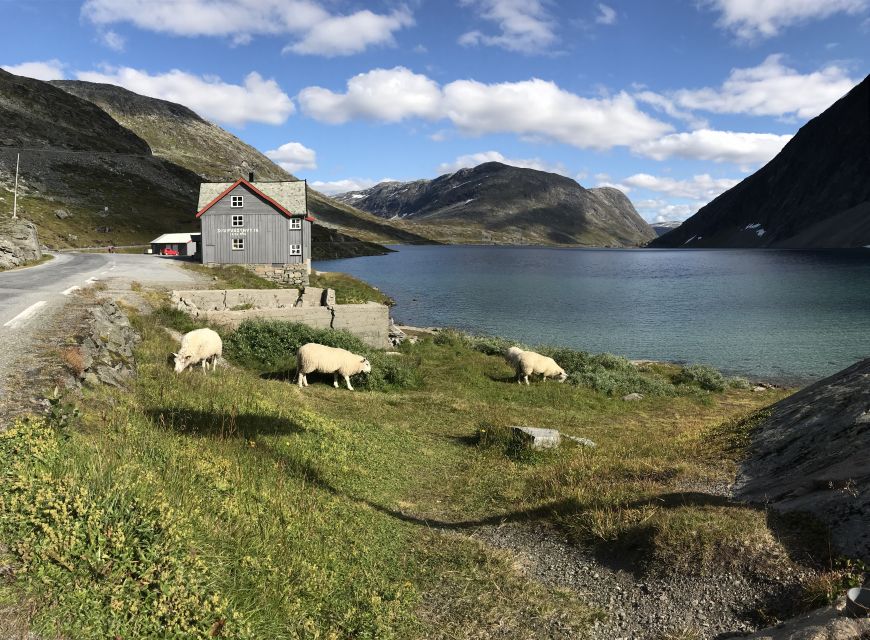 Geiranger: Dalsnibba, Flydalsjuvet, Eagle Bend & Fjords Tour - Eagle Bend and the Seven Sisters waterfall