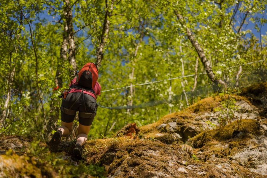 Geiranger: Rappelling tour with epic view - Key points to know before you book