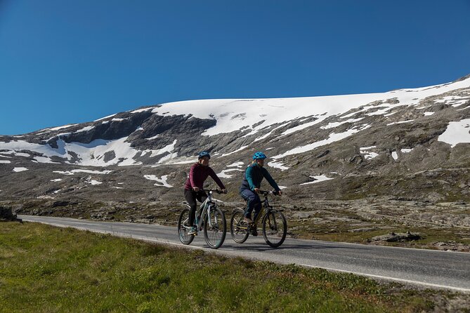 Geiranger: Sky to Fjord Downhill Biking Adventure - Who Will Enjoy This Ride Most