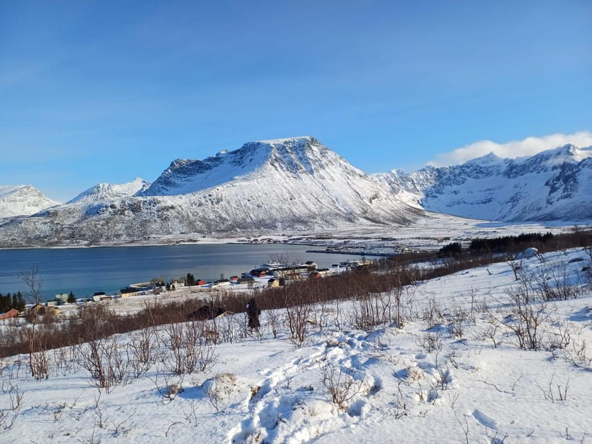 Grøtfjord, Tromsø. Unique Artic scenic route. - Looking for Reindeer, Elk, Whales, Orcas, and Eagles
