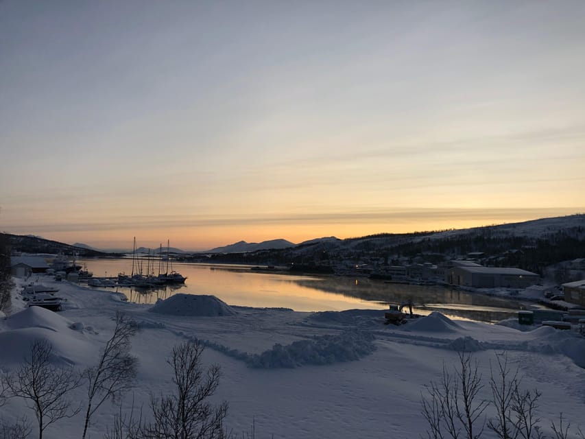 Grøtfjord, Tromsø. Unique Artic scenic route. - Language, Timing, and Group Size