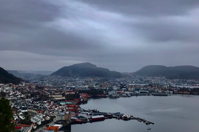 Group City Tour- Walking - Bergenhus Fortress and the Medieval Center