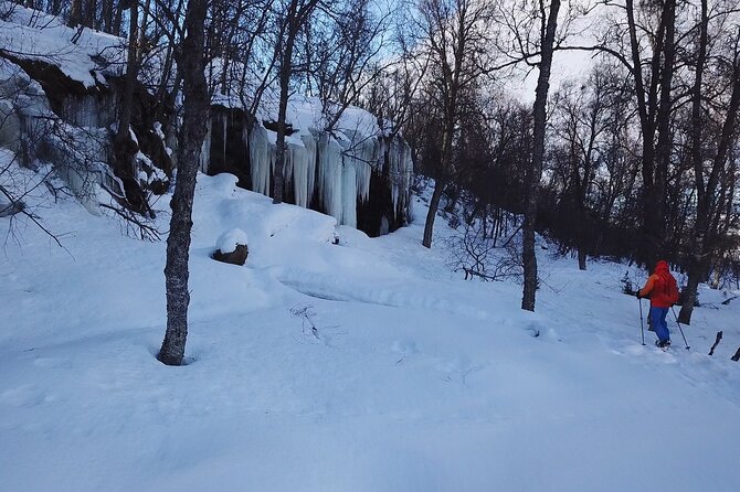Guided easy snowshoeing with a visit to local café - Leaving Tromsø for Malangen