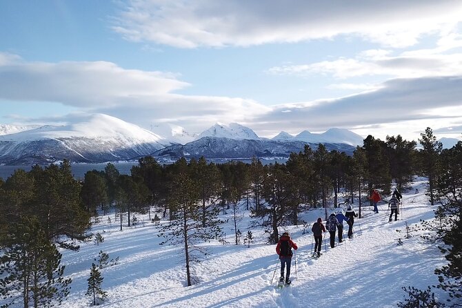 Guided easy snowshoeing with a visit to local café - Why the descent may be the trickiest part