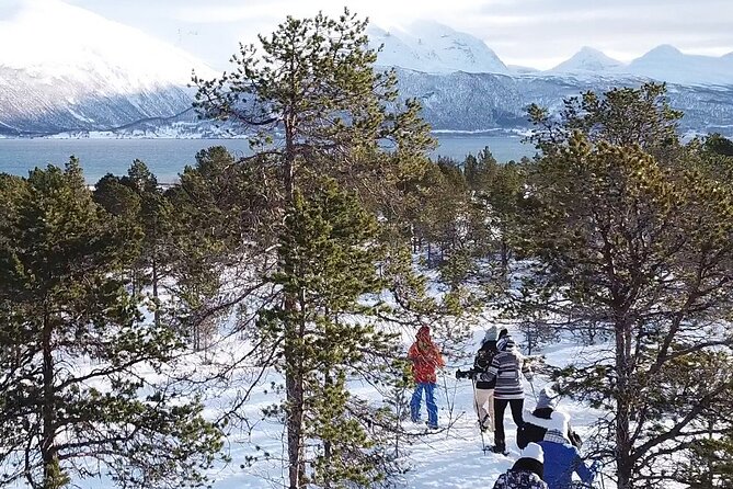 Guided easy snowshoeing with a visit to local café - Warming up at Tove’s Tradisjonsmat kafé