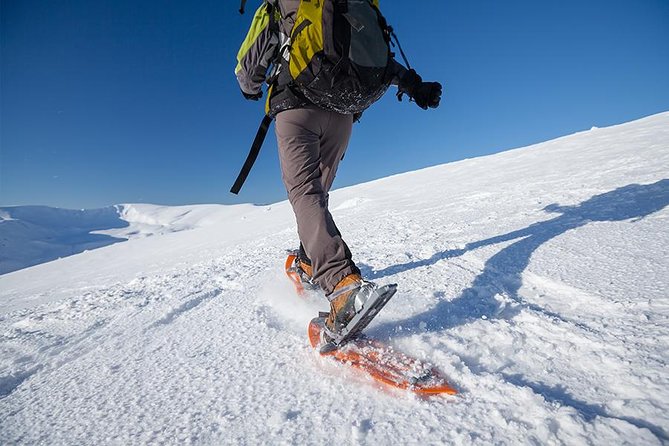 Guided Morning Snowshoe Hike with Huskies - Key points to know before booking