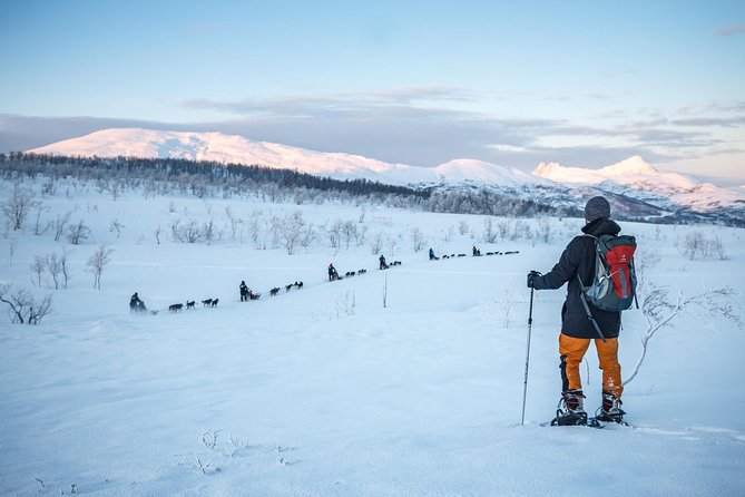 Guided Morning Snowshoe Hike with Huskies - From Tromsø’s harbor to Kvaløya in 30 minutes