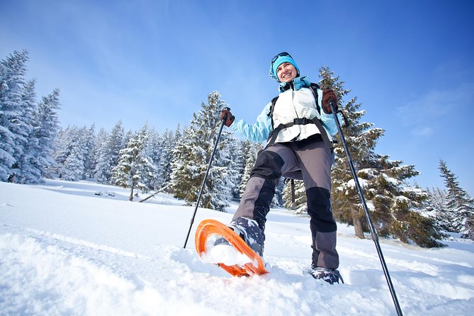 Guided Morning Snowshoe Hike with Huskies - Who will enjoy this outing most