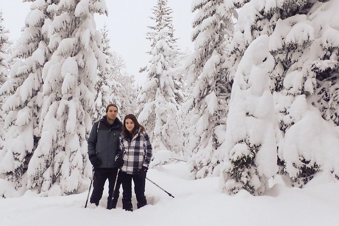 Guided Snowshoe Walk on Tromsoya Island in Tromso - What makes this Tromsø snowshoe tour worth considering