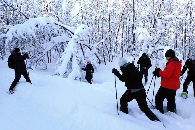 Guided Snowshoe Walk on Tromsoya Island in Tromso - Starting at Tromsø Outdoor in the city center