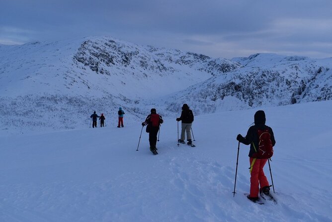 Guided Snowshoe Walk on Tromsoya Island in Tromso - Clothing, snow conditions, and practical preparation