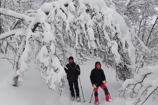 Guided Snowshoe Walk on Tromsoya Island in Tromso - Is $118.77 a fair price?