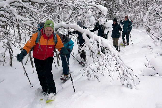 Guided Snowshoe Walk on Tromsoya Island in Tromso - Walking through Tromsøya’s birch and spruce woods