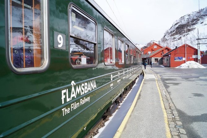 Guided tour - Viking Village, Nærøyfjord Cruise and Flåm Railway - The Flåm Railway, steep tracks and Kjosfossen