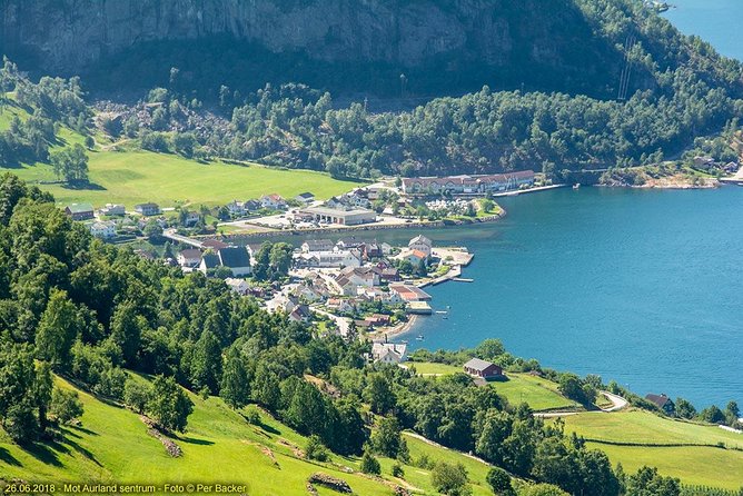 Guided tour - Viking Village, Nærøyfjord Cruise and Flåm Railway - Myrdal and the Bergen Railway to Voss