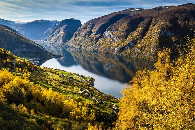 Guided tour - Viking Village, Nærøyfjord Cruise and Flåm Railway - What $429.48 includes, and where the value lies