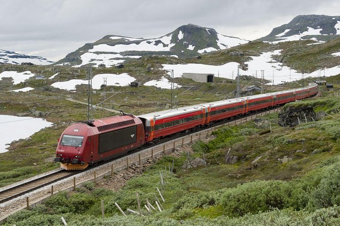 Guided tour - Viking Village, Nærøyfjord Cruise and Flåm Railway - Who will enjoy this tour most?