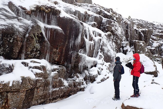 Guided winter hike to Pulpit Rock Preikestolen - Reaching the Pulpit Rock Viewpoint