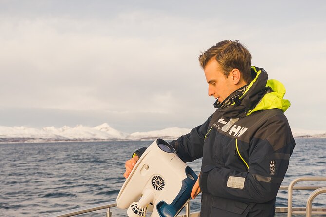 Half Day Arctic Fjord Cruise from Tromso - What makes this Tromsø cruise worth considering