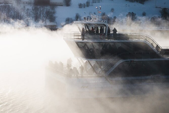 Half Day Arctic Fjord Cruise from Tromso - Stories, ecology, and the crew