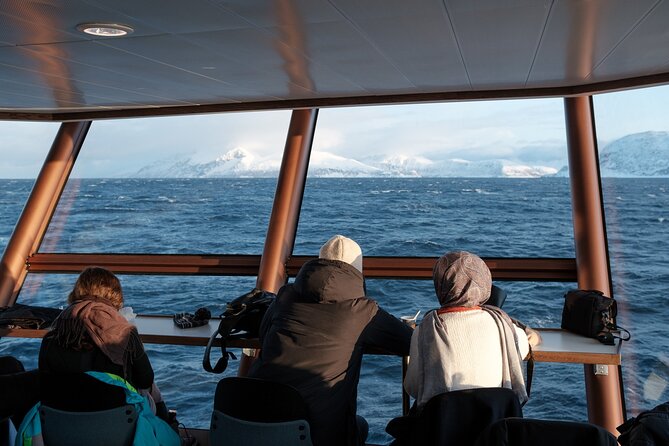 Half Day Arctic Fjord Cruise from Tromso - The best time to book and what to wear