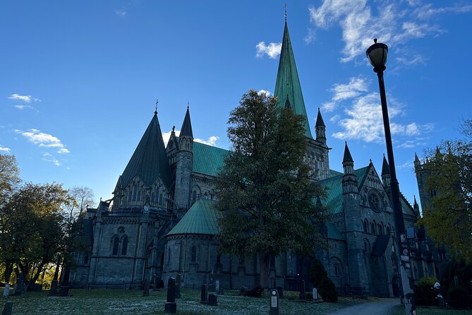Half-Day Highlights of Trondheim by Bus and City Walk - Why the bus and walk format works well