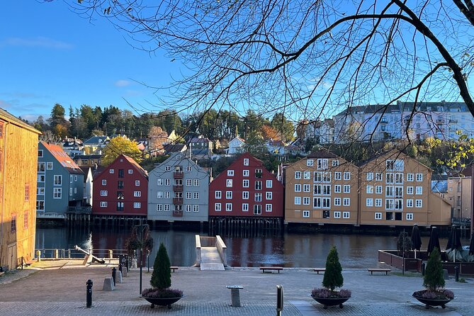 Half-Day Highlights of Trondheim by Bus and City Walk - Byåsen and Kristiansten Fortress: the best use of the coach