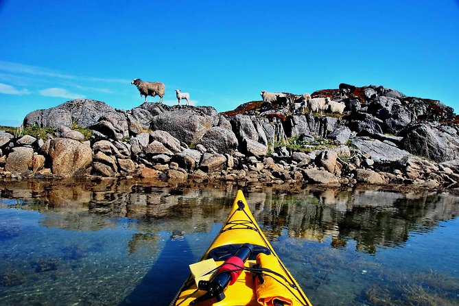 Half Day Kayak - Northern Explores AS - Rain, wind, and the right clothing