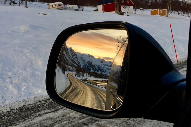 Half-Day Scenic Wildlife & Photographic Fjord Tour. - Blue Day in Tromsø