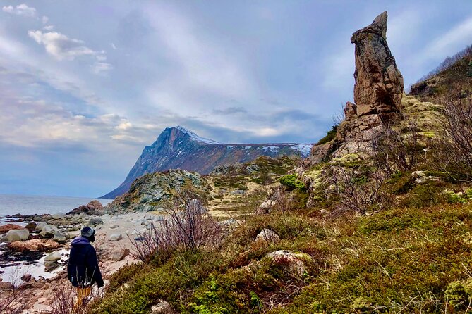 Half-Day Scenic Wildlife & Photographic Fjord Tour. - What the Guides Add