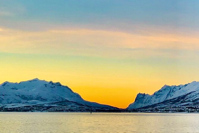 Half-Day Scenic Wildlife & Photographic Fjord Tour. - Who Will Enjoy This Morning Most?