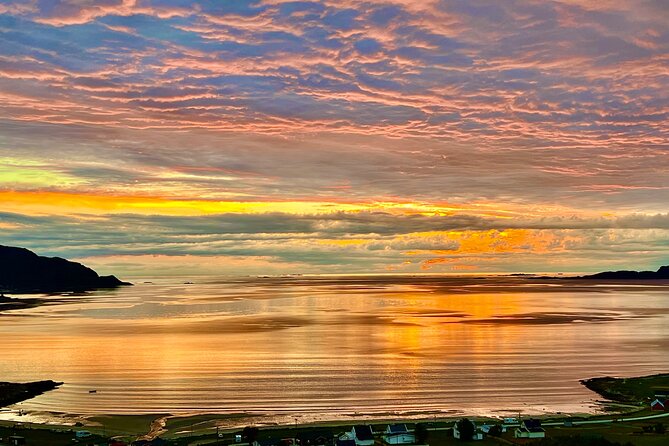 Half-Day Scenic Wildlife & Photographic Fjord Tour. - The Kvaloya Photo Stops