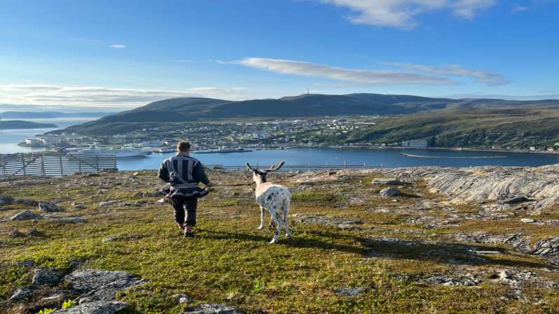 Hammerfest: Guided Tour - Meet Reindeer - Why this Salen Mountain visit feels different