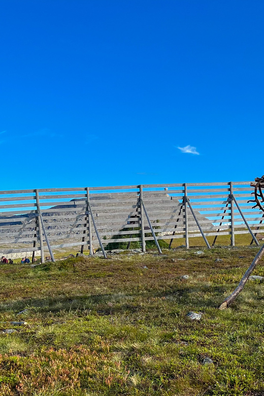 Hammerfest: Guided Tour - Meet Reindeer - The first 20 minutes: arriving at the reindeer camp