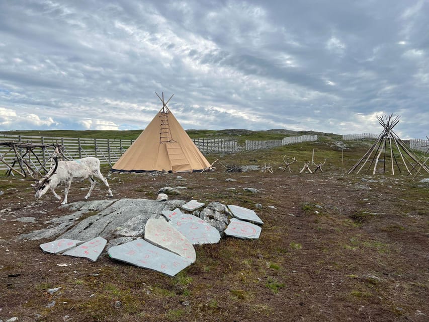 Hammerfest: Guided Tour - Meet Reindeer - Ten minutes of orientation before the longer visit