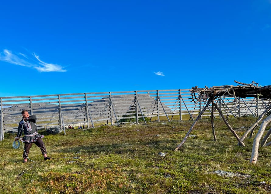 Hammerfest: Guided Tour - Meet Reindeer - Finding SamiBooking above Hammerfest