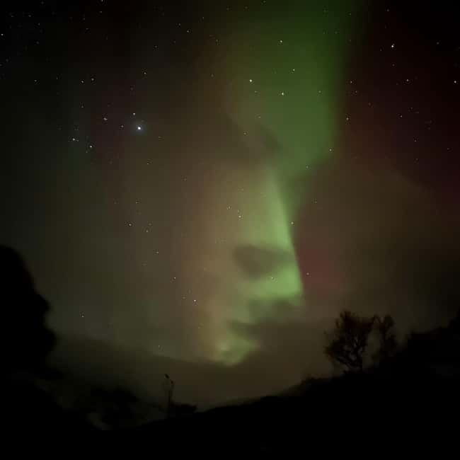 Harstad/Narvik/Tjeldsund: Northern Lights Sightseeing by Car - Who should book this experience?